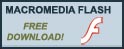 Macromedia Flash